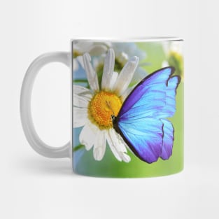 Blue Morpho Butterly and Daisies Mug
